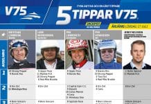 Fem tippar V75 till Årjäng 17 juli 2021 fem tippar v75 v28 arjang