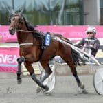 Inför V86 (jackpot): Salmela med två streckvärda Inför V86 (jackpot): Salmela med två streckvärda