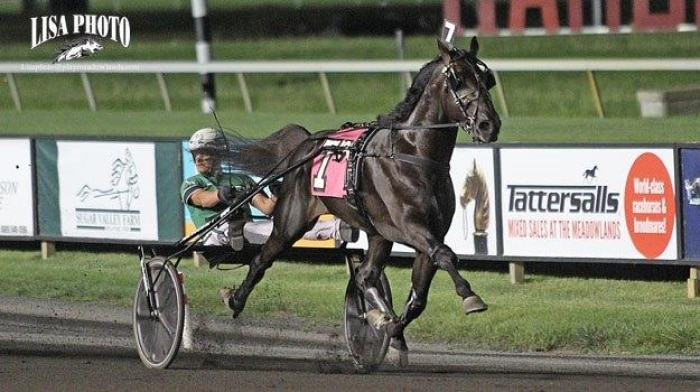 svanstedt och captain corey ostoppbara i hambletonian
