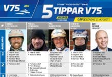 Fem tippar V75 till Gävle 21 augusti 2021 Fem tippar V75 till Gävle 21 augusti 2021