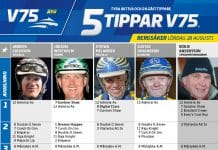 Fem tippar V75 till Bergsåker 28 augusti 2021 Fem tippar V75 till Bergsåker 28 augusti 2021