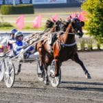 Elitloppsvinnaren mot Lotterian i ny regi elitloppsvinnaren mot lotterian i ny regi