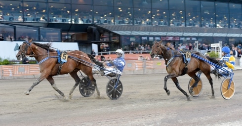 Inför V75®/dubbeljackpot: ”Hon är bättre än någonsin”