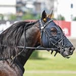 Stoletheshow flyttar till Norge stoletheshow flyttar till norge