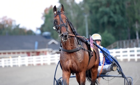 Ecurie D. glänste i USA-debuten