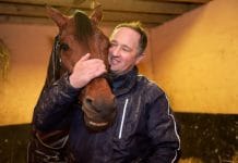 Face Time Bourbon matchas mot Elitloppet face time bourbon matchas mot elitloppet