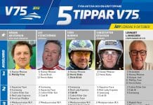 Fem tippar V75 till Åby 9 oktober 2021 fem tippar v75 aby 9 oktober 2021