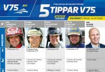 Fem tippar V75 till Solänget 16 oktober 2021 fem tippar v75 v41 solanget