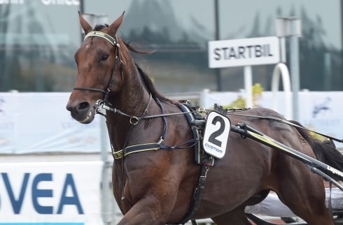 Inför V75: Hoppas leda gulddivisionen runt om