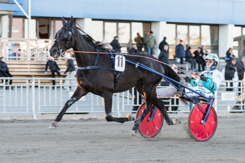 inför v75® (jackpot) årsbokslut för liljendahls stjärna