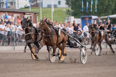 Inför V75 (söndag): "Vinner fem gånger av tio i alla fall"
