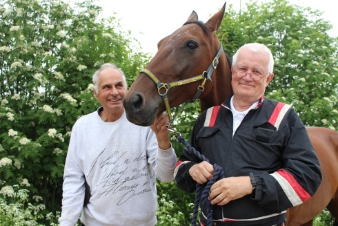 wild love jagar biljett till prix d'amerique