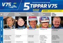 Fem tippar V75 till BJERKE 13 november 2021 fem tippar v75 v45 bjerke