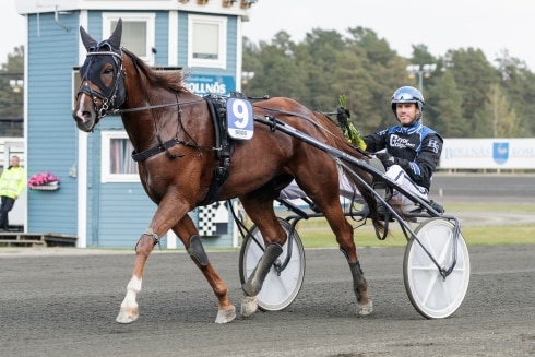 inför v75® ”tryck och spänst i hästen igen”
