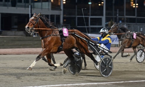 vikens high yield fortsatt obesegrad på vincennes