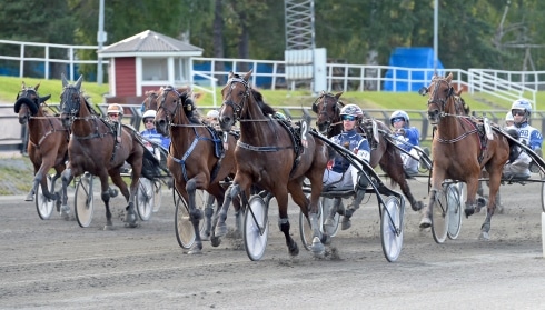 inför v75® på långresa med sikte på ledningen