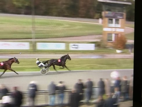 inför v86® (jackpot) ”tror inte han förlorar nu heller”