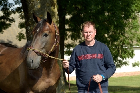 elitloppsfavoriten snart tillbaka på banan