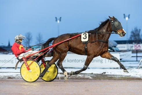 inför v75® vinterns häst tillbaka i form – ”extra plus för dagens jobb”