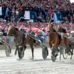 Alla vill till Elitloppet alla vill till elitloppet