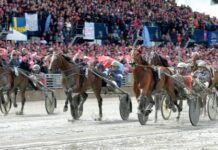 Alla vill till Elitloppet alla vill till elitloppet