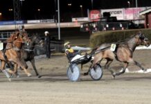 From The Mine inbjuden till Sweden Cup from the mine inbjuden till sweden cup