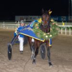 Tetrick Wania mot elitloppshelgen tetrick wania mot elitloppshelgen