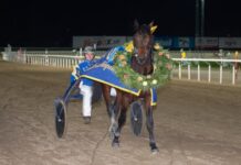 Tetrick Wania mot elitloppshelgen tetrick wania mot elitloppshelgen