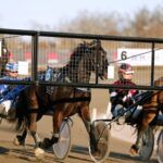 V75 statistik: Jämförelse varmblod och kallblod v75 statistik jämförelse varmblod och kallblod