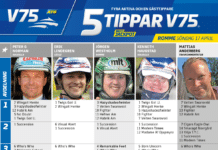 Fem tippar V75 till Romme Söndag 17 april 2022 fem tippar v75 v15 romme 17 april 2022