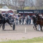 Copenhagen Cup lottat copenhagen cup lottat