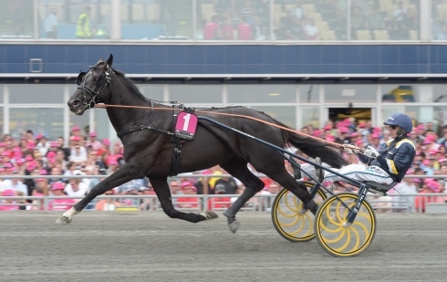 elitloppsquiz söndag