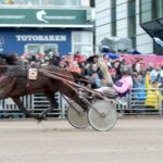 Fransk monsterinsats i Harpers fransk monsterinsats i harpers