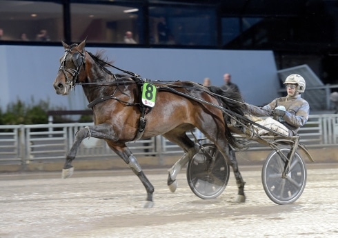 inför v75® (jackpot) ”det får bära eller brista”