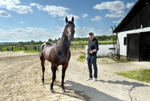 inför v75® (jackpot) elitloppsfavoriten jagar revansch i midnattssolen