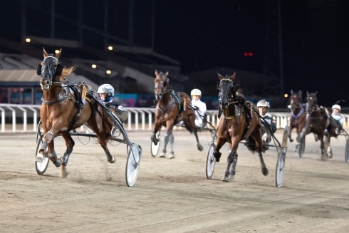 inför v75® (jackpot) ”haft det här loppet i tankarna ett tag”