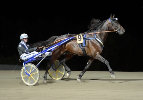 inför v75® (jackpot) ”mycket hårdhet av att tävla i frankrike”