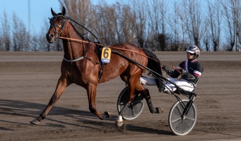 upstate face startar i oslo grand prix