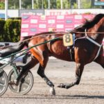Who’s Who sjuk – missar miljonloppet who’s who sjuk – missar miljonloppet