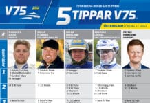 Fem tippar V75 till Östersund Lördag 11 juni 2022 fem tippar v75 v23 ostersund 11 juni 2022
