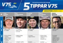 Fem tippar V75 till ESKILSTUNA 2 juli 2022 fem tippar v75 v26 eskilstuna 2 juli 2022