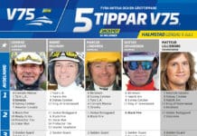 Fem tippar V75 till Halmstad 9 juli 2022 fem tippar v75 v27 halmstad 9 juli 2022