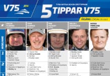 Fem tippar V75 till Årjäng 16 juli 2022 fem tippar v75 v28 arjang 16 juli 2022