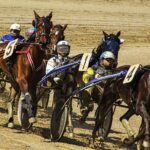 Så blir du bättre på att hitta odds med spelvärde sporty fight 776862 1920