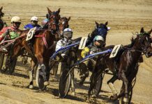 Så blir du bättre på att hitta odds med spelvärde sporty fight 776862 1920