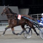 Inför V75: Spåret kan fälla kaptenen inför v75 spåret kan fälla kaptenen