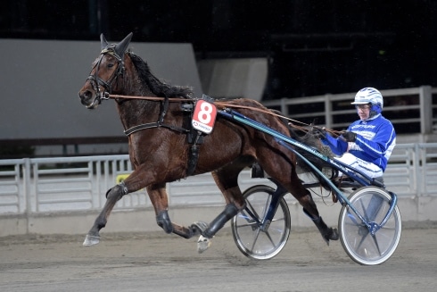 inför v75 spåret kan fälla kaptenen