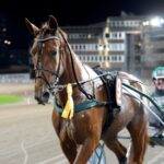 Inför V75 (drömjackpot): Westholm förhoppningsfull inför Svenskt Travoaks inför v75 drömjackpot westholm förhoppningsfull inför svenskt travoaks