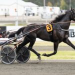 Milliondollarrhyme svenskhopp i Lotterian milliondollarrhyme svenskhopp i lotterian