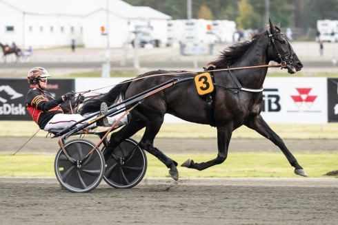 milliondollarrhyme svenskhopp i lotterian